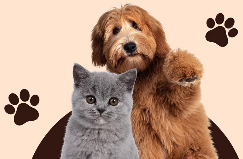 Sample Post 2: An Ultimate Guide